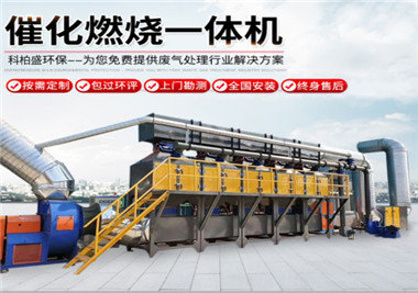 RCO���ʽ/�߻�ȼ���O��